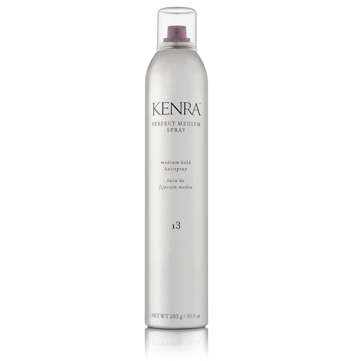 Kenra Professional Perfect Medium Spray 13